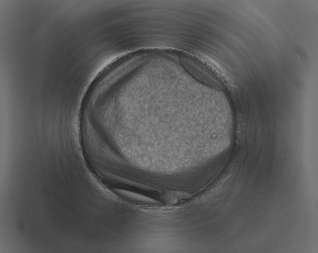 X0000116490942200912292103