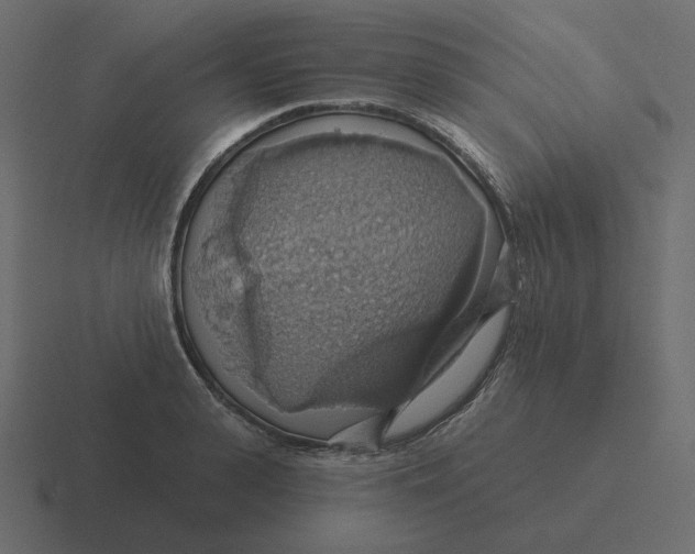 X0000116490943200912292103