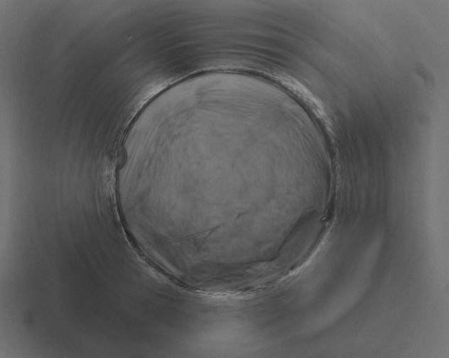 X0000116490945200912292103