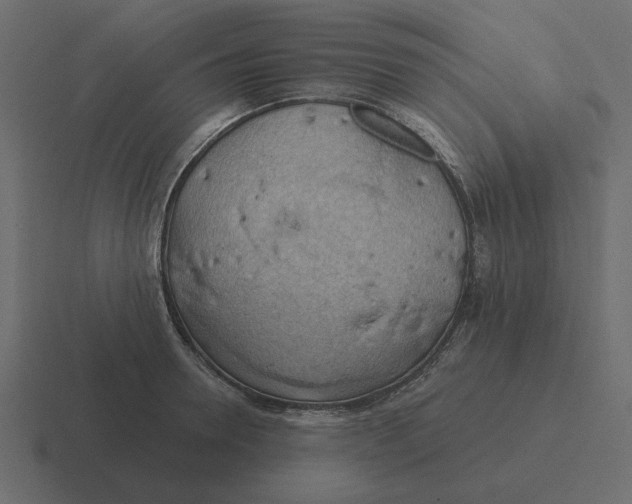 X0000116490946200912292103