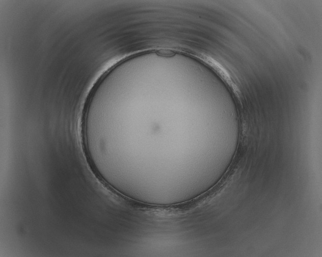 X0000116490947200912292103