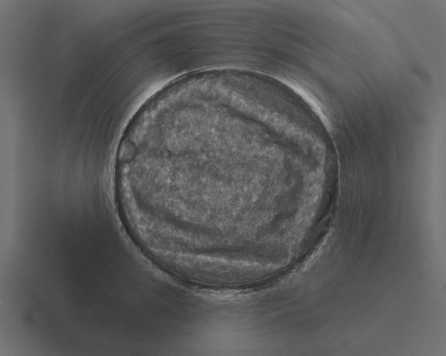 X0000116490949200912292103