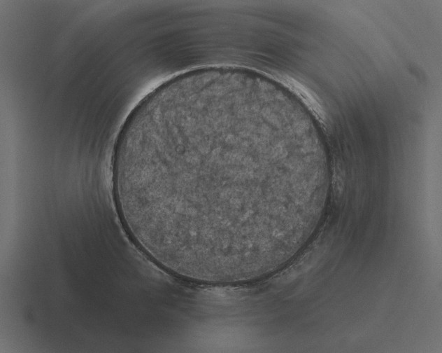 X0000116490950200912292103