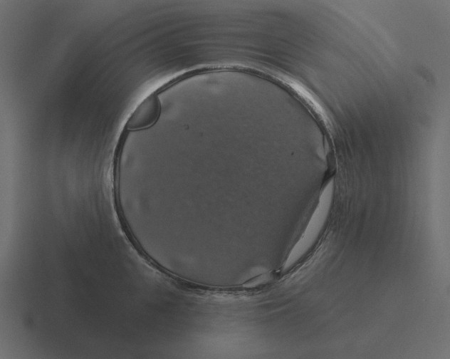 X0000116490951200912292103