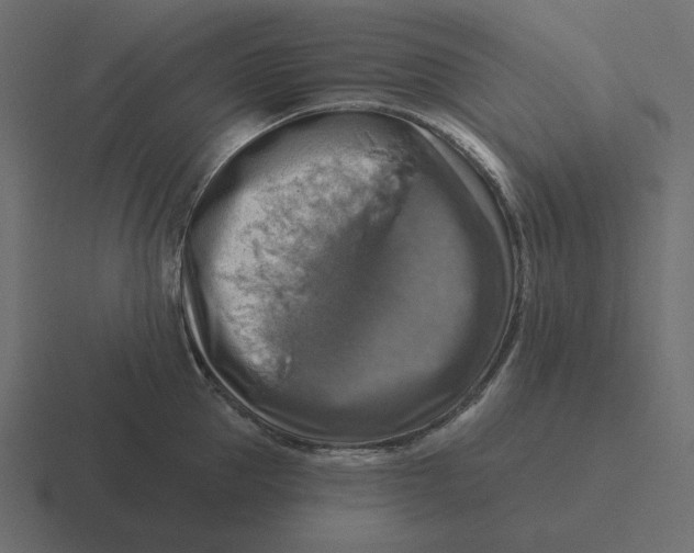 X0000116490953200912292103