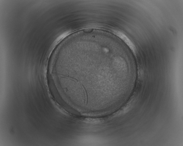 X0000116490954200912292103