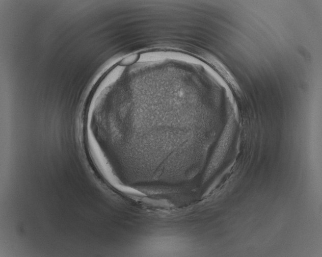 X0000116490955200912292103