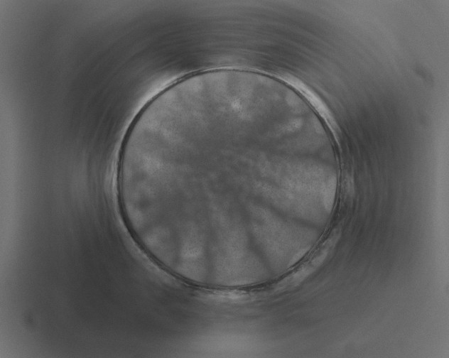 X0000116490957200912292103