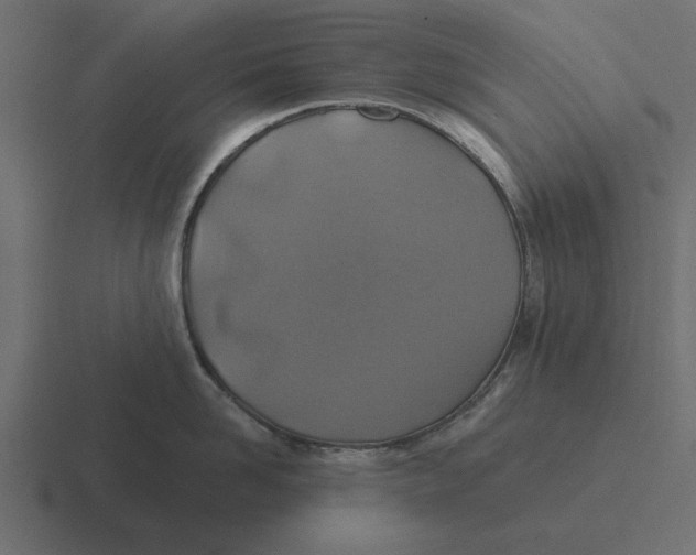 X0000116490958200912292103