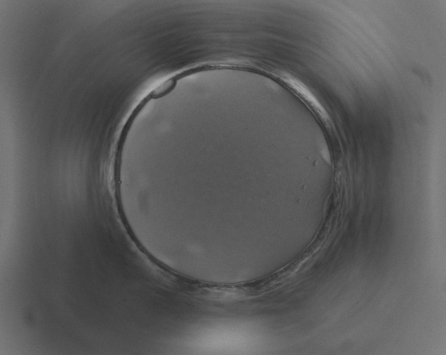 X0000116490959200912292103