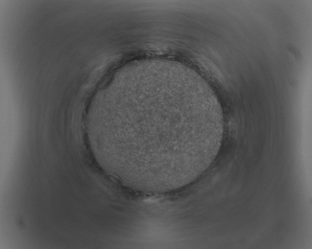 X0000116490961200912292102