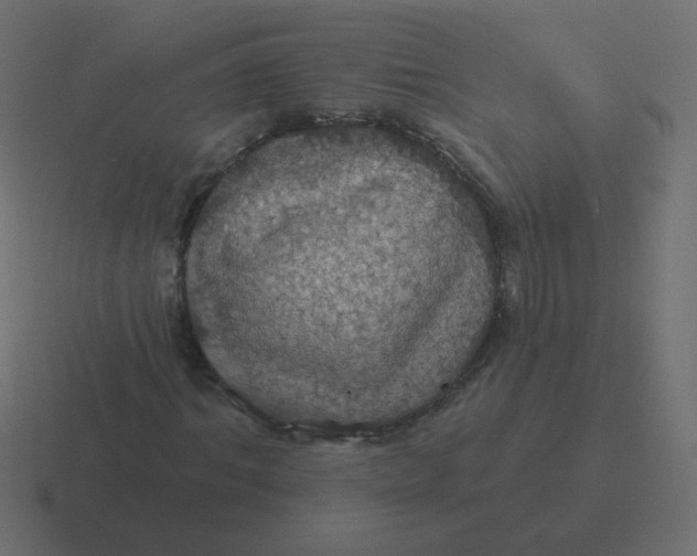 X0000116490964200912292102