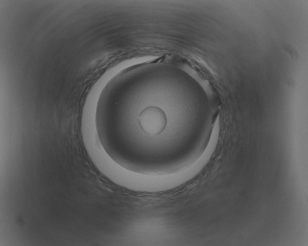 X0000116490965200912292102