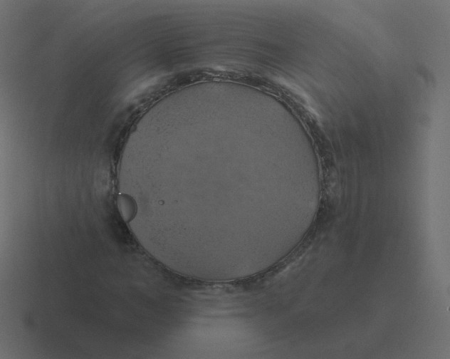 X0000116490966200912292102