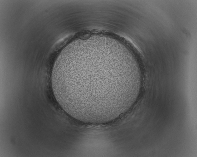 X0000116490967200912292102