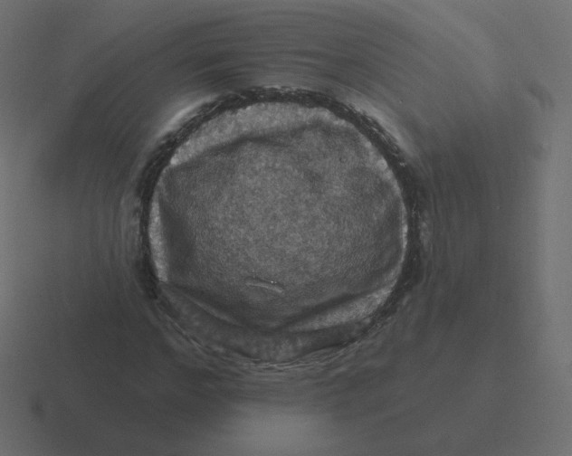 X0000116490968200912292102