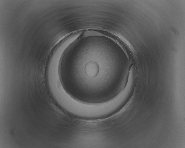 X0000116490969200912292102