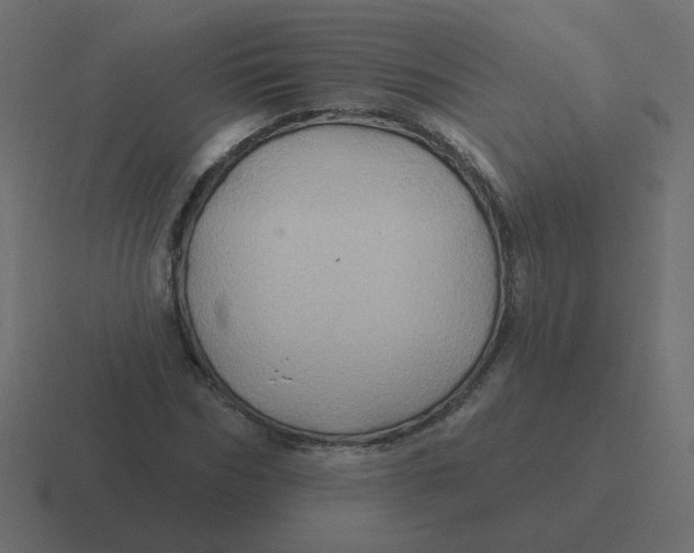 X0000116490970200912292102