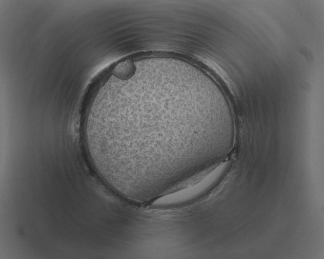 X0000116490971200912292102