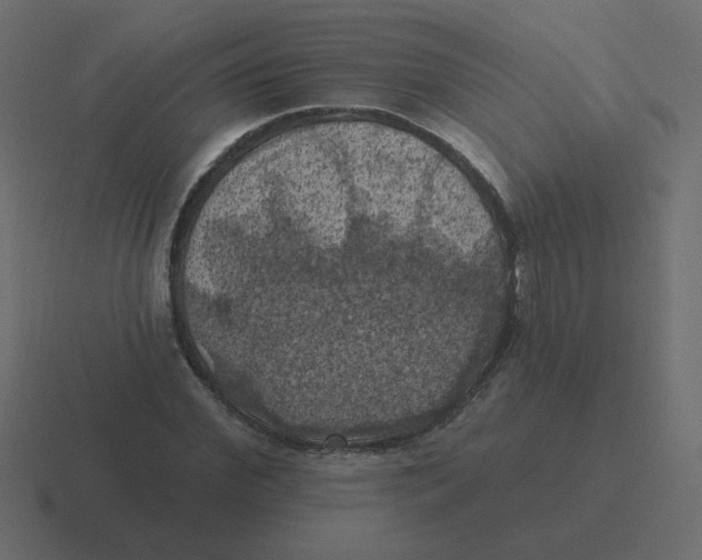 X0000116490972200912292102