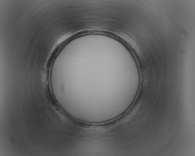 X0000116490974200912292102