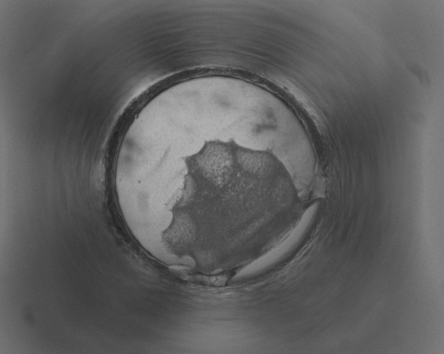 X0000116490975200912292102