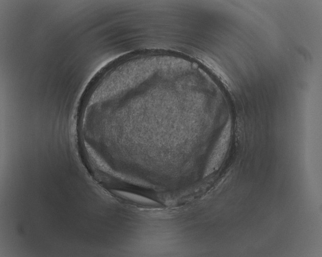 X0000116490976200912292102