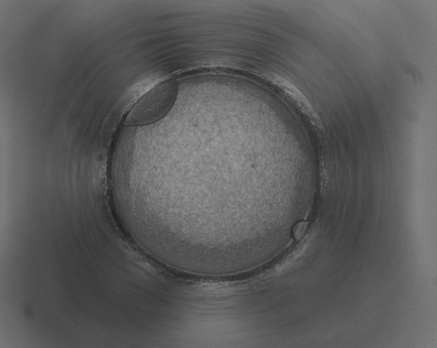 X0000116490977200912292102