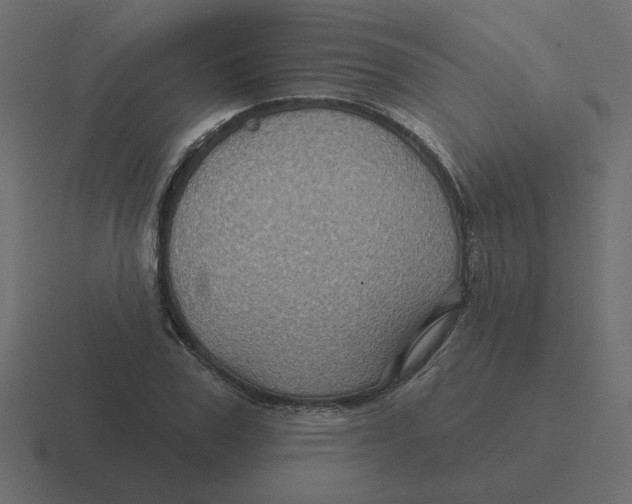 X0000116490979200912292102