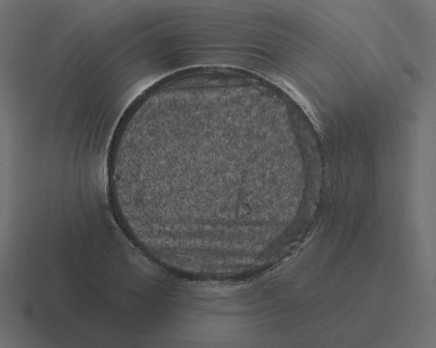 X0000116490980200912292102