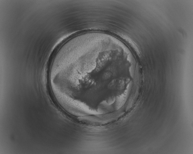 X0000116490983200912292102