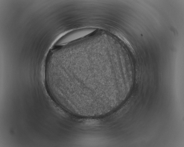 X0000116490984200912292102