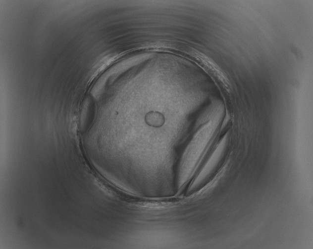 X0000116490985200912292102