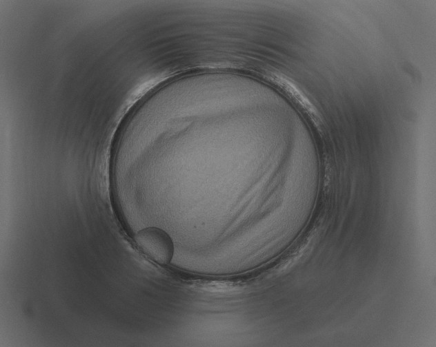 X0000116490986200912292102