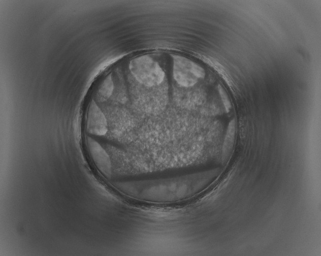 X0000116490987200912292102