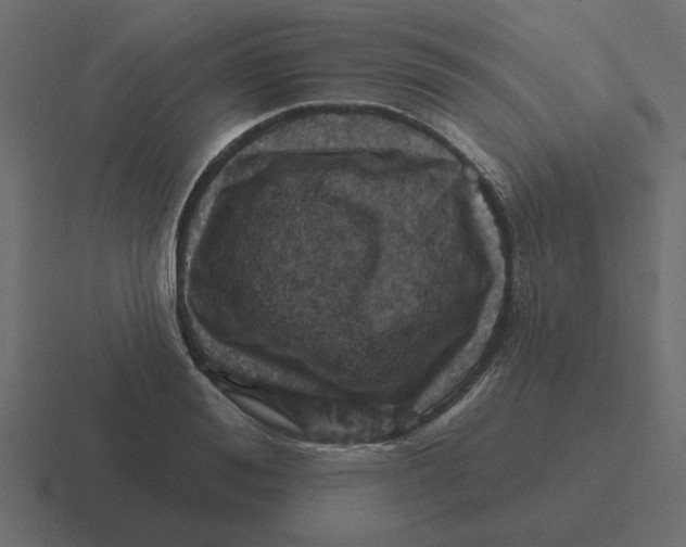 X0000116490988200912292102