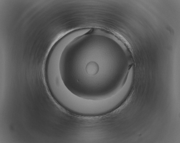 X0000116490989200912292102