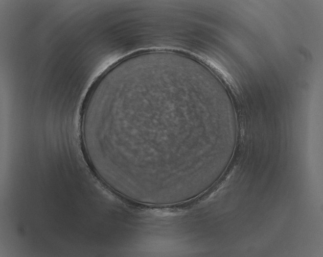 X0000116490990200912292102