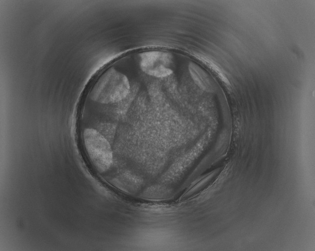 X0000116490991200912292102