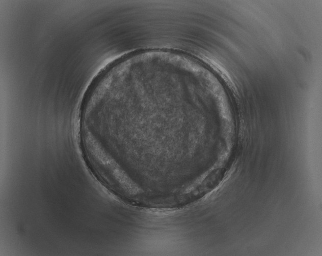 X0000116490992200912292102