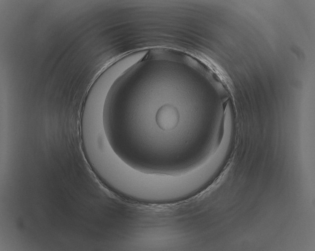 X0000116490993200912292102