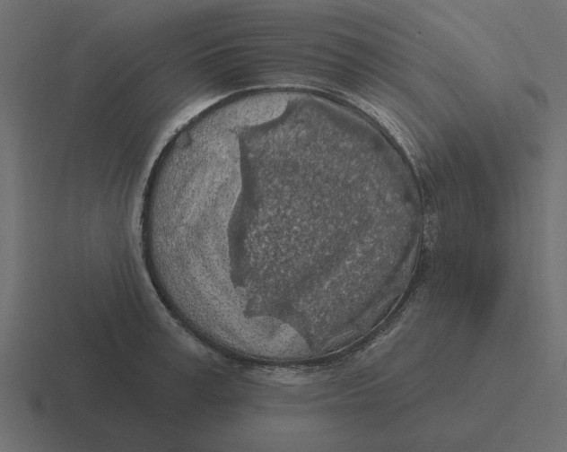 X0000116490995200912292102