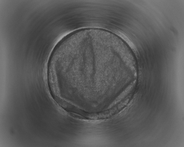 X0000116490996200912292102