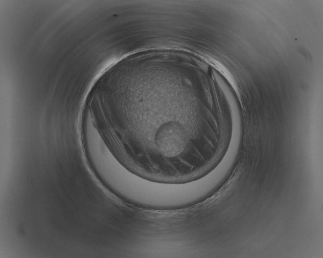 X0000116490997200912292102