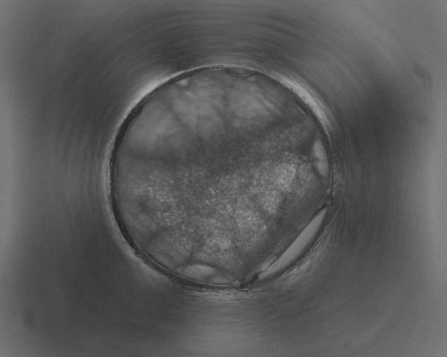 X0000116490999200912292102