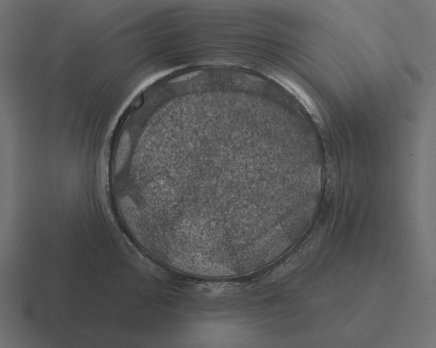 X0000116491000200912292102