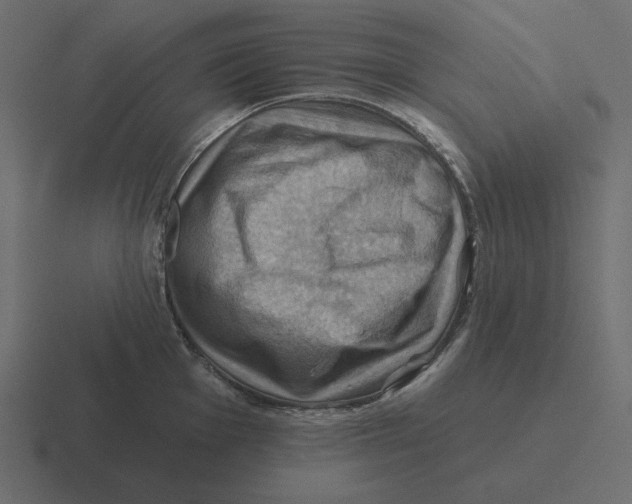 X0000116491001200912292102