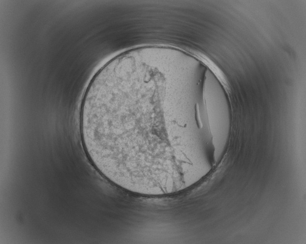 X0000116491004200912292102