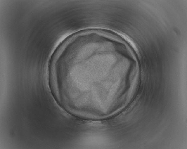 X0000116491006200912292102