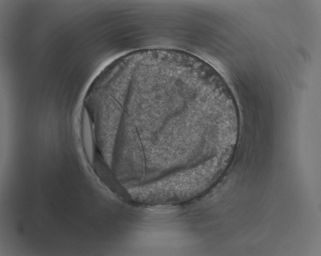 X0000116491008200912292102